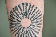 cirkel